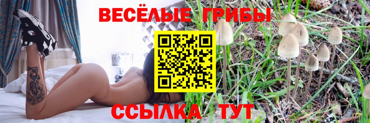 Кирово-Чепецк  Галлюциногенные грибы Cubensis  где найти наркотики  Вход с VPN  Галлюциногенные грибы прущие грибы 
