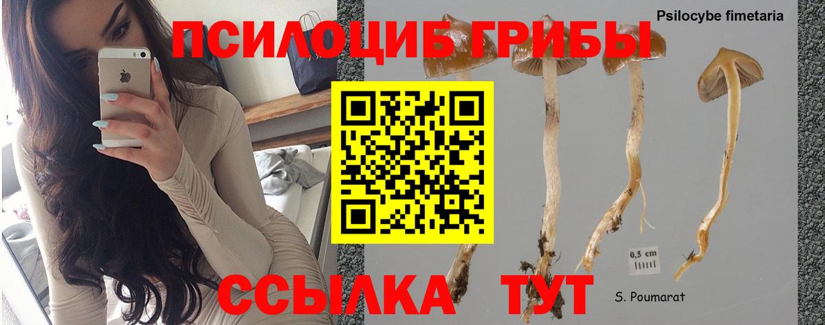 Псилоцибиновые грибы мухоморы Кирово-Чепецк